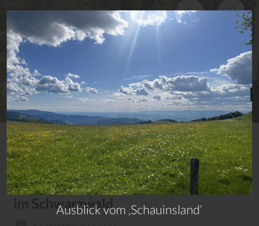 Toscana-Residenz Im Schwarzwald Utzenfeld エクステリア 写真